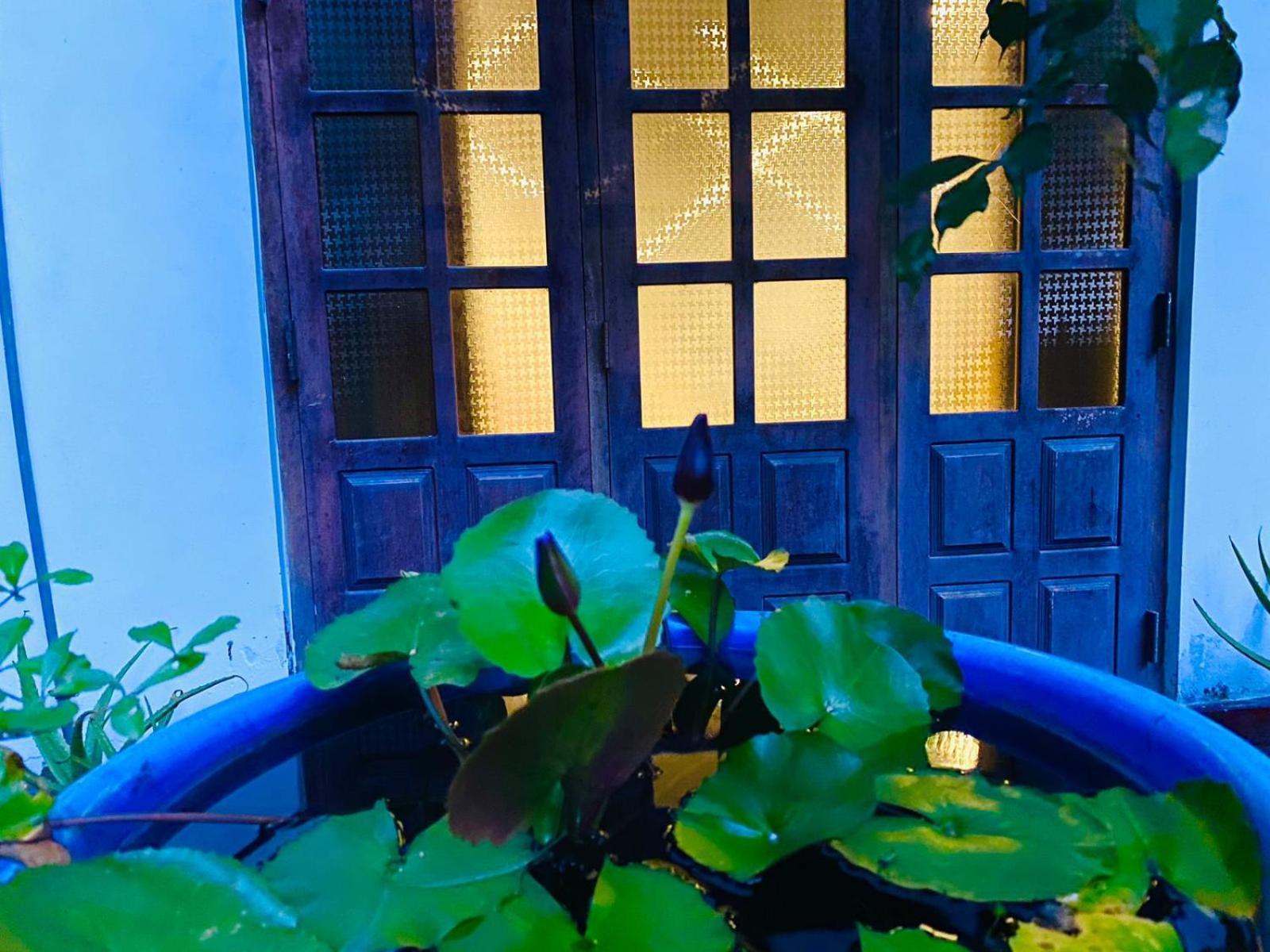 Sachi'S Place Тангалла Экстерьер фото